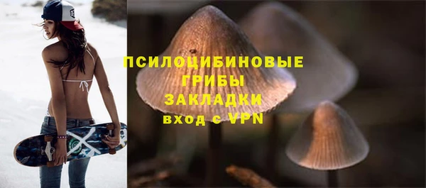мяу мяу мука Горно-Алтайск