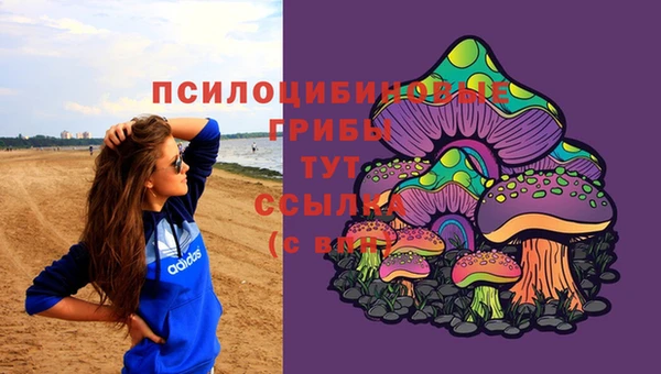 ГАЛЛЮЦИНОГЕННЫЕ ГРИБЫ Армянск