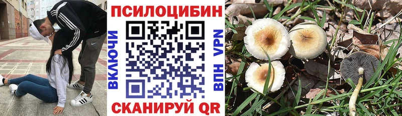 Псилоцибиновые грибы GOLDEN TEACHER  купить наркотики цена  Балтийск 