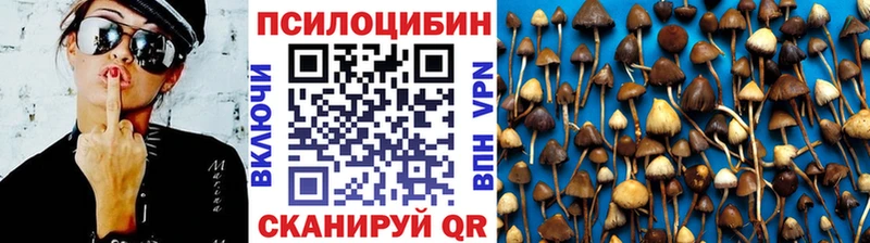 Псилоцибиновые грибы Magic Shrooms Балтийск