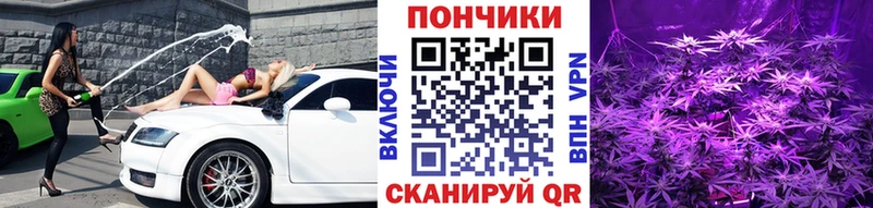 Бошки Шишки AK-47  купить наркотики цена  hydra tor  Балтийск 